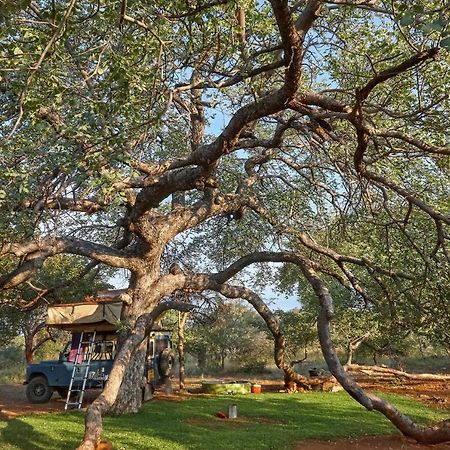 Zuricamp - Campsite Halishi Τσουμέμπ Εξωτερικό φωτογραφία
