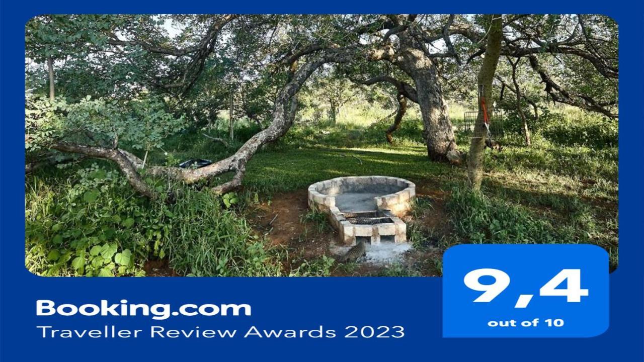 Zuricamp - Campsite Halishi Τσουμέμπ Εξωτερικό φωτογραφία