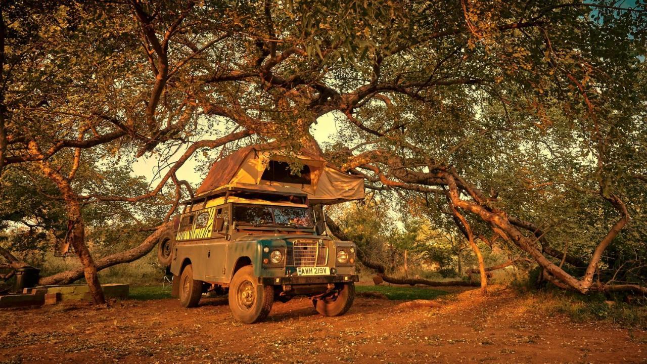 Zuricamp - Campsite Halishi Τσουμέμπ Εξωτερικό φωτογραφία