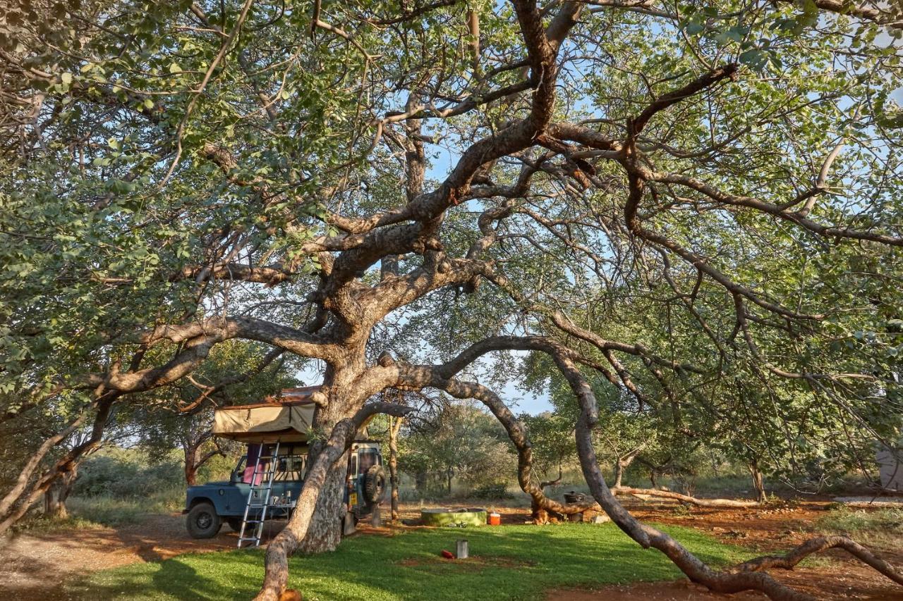 Zuricamp - Campsite Halishi Τσουμέμπ Εξωτερικό φωτογραφία
