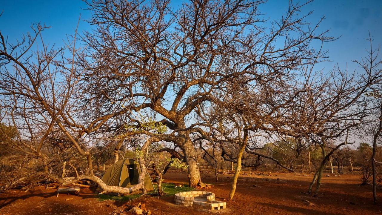 Zuricamp - Campsite Halishi Τσουμέμπ Εξωτερικό φωτογραφία